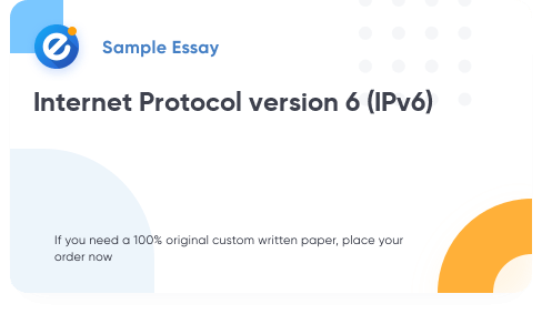 Free «Internet Protocol version 6 (IPv6)» Essay Sample