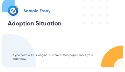 Free «Adoption Situation» Essay Sample
