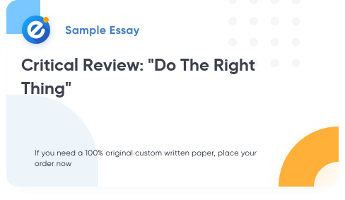 Free «Critical Review: Do The Right Thing» Essay Sample