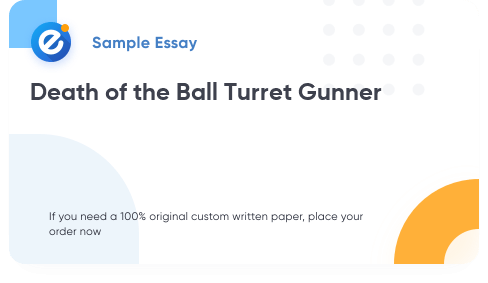 Free «Death of the Ball Turret Gunner» Essay Sample