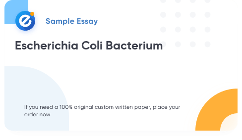 Free «Escherichia Coli Bacterium » Essay Sample