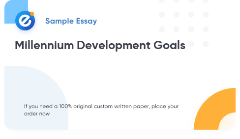 Free «Millennium Development Goals» Essay Sample