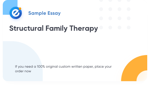 Free «Structural Family Therapy» Essay Sample