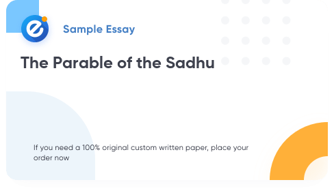 Free «The Parable of the Sadhu» Essay Sample
