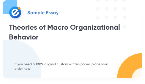 Free «Theories of Macro Organizational Behavior» Essay Sample